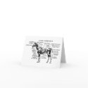 Horse cards
