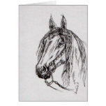 horse greeting card