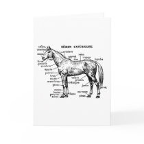 Horse Greeting Card