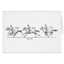 Horse cards