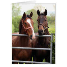 Horse Card