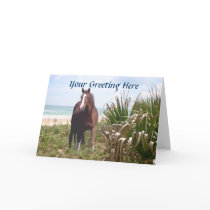 Horse Card Beach