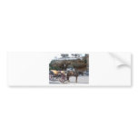 Horse carriage in Mijas Bumper Sticker