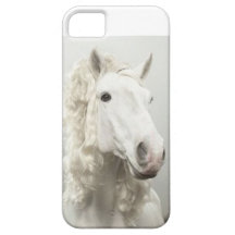 Horse case that goes to adapt with names or text. iPhone 5 covers