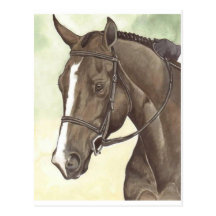 HORSE Champion Appendix QH Mare Postcards