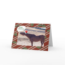 Horse Christmas Card