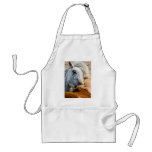 Horse cleaning apron