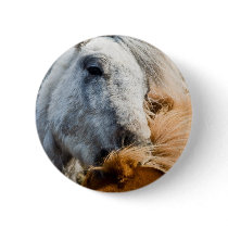Horse cleaning buttons