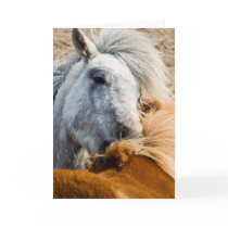 Horse cleaning cards