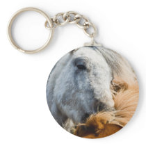 Horse cleaning keychains