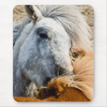 Horse cleaning mousepads