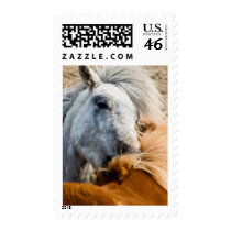 Horse cleaning postage