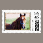 Horse Close Up postage