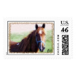 Horse Close Up postage