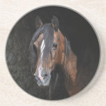 horse coaster