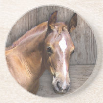 Horse coasters