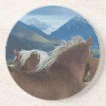 Horse Coasters coasters