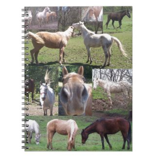 Horse Collage Note Book