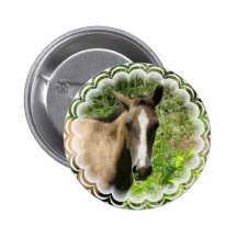 Horse Colt Button