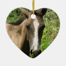 Horse Colt  Ornament