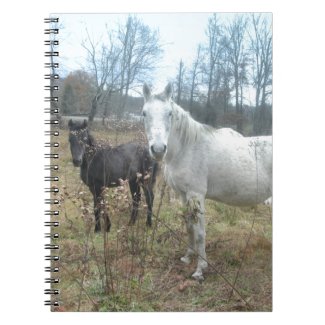 Horse & Colt Spiral Note Book