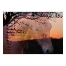 Horse Colt  Sunrise Business Card