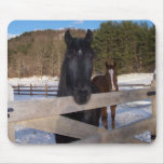 HORSE COUNTRY