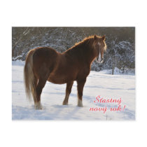 Horse Czech New Year postcard
