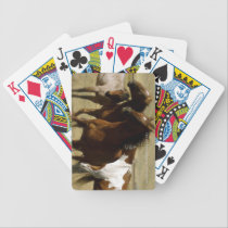 Horse Deck of Cards playing cards