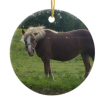 Horse Design Ornament ornaments
