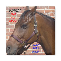 Horse Diet Fridge Magnet
