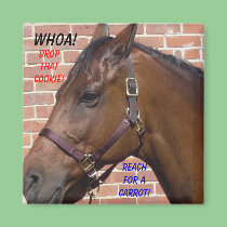 Horse Diet Fridge Magnet