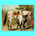 Horse & Dog Drawing posters