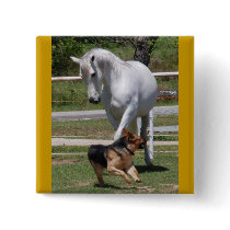 HORSE & DOG PLAY PINS