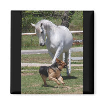 HORSE & DOG PLAY REFRIGERATOR MAGNET
