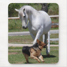HORSE & DOG PLAY MOUSE PAD