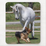 HORSE & DOG PLAY MOUSE PAD