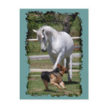 HORSE & DOG PLAY POST CARD