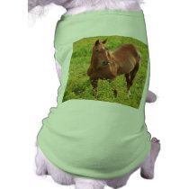 Horse Dog T-Shirt pet clothing by gavila_pt Horse Dog T-Shirt pet clothing