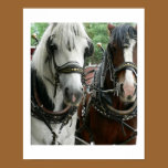 Horse Drawn posters