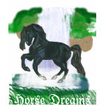 Horse Dreams Andalusian Horse T-Shirt