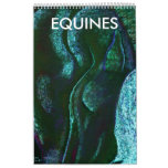 horse dreams, EQUINES Wall Calendars