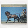 horse driving mousepad