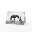 Horse eating from a cowboy's hat cards by uwahc_cards Horse eating from a cowboy's hat cards