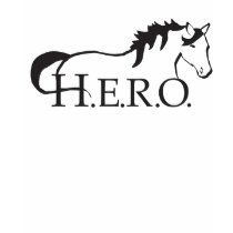 Horse, Education, Rescue Organization t-shirts