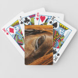 Horse eye bicycle playing cards