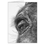 Horse Eye Closeup Drawing by Kelli Swan cards