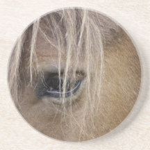 Horse eye Coaster