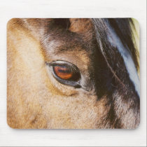 Horse Eye Mousepad