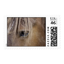 Horse eye Postage
